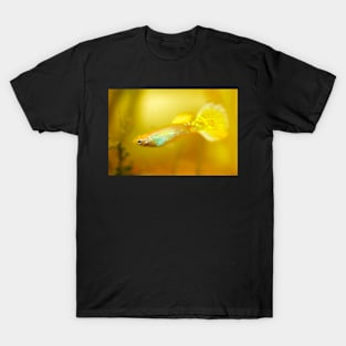 Yellow Guppy Fish T-Shirt